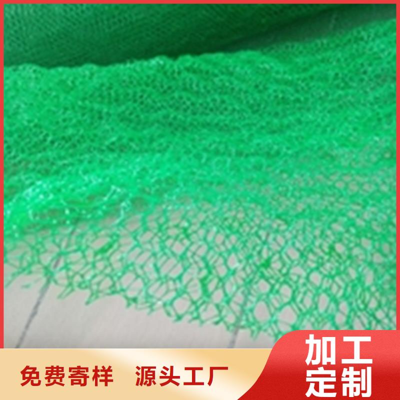 【三维植被网】HDPE土工膜一件也发货精选优质材料