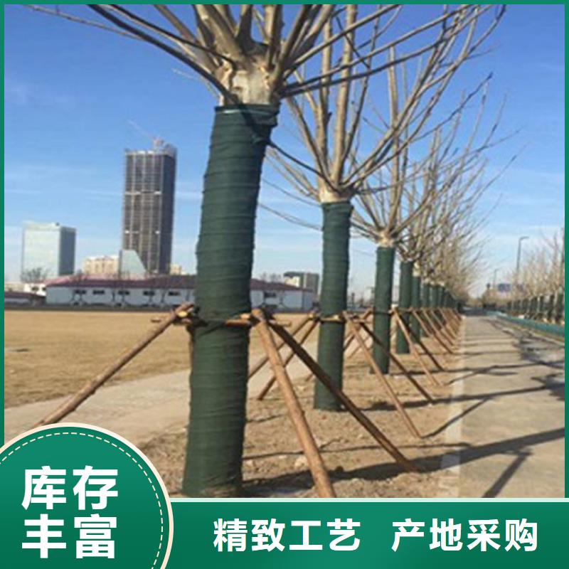 绿色包树布缠树棉通过国家检测