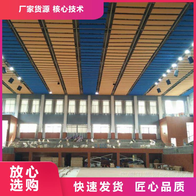 广西省南宁市邕宁区比赛体育馆声学改造方案--2022最近方案/价格