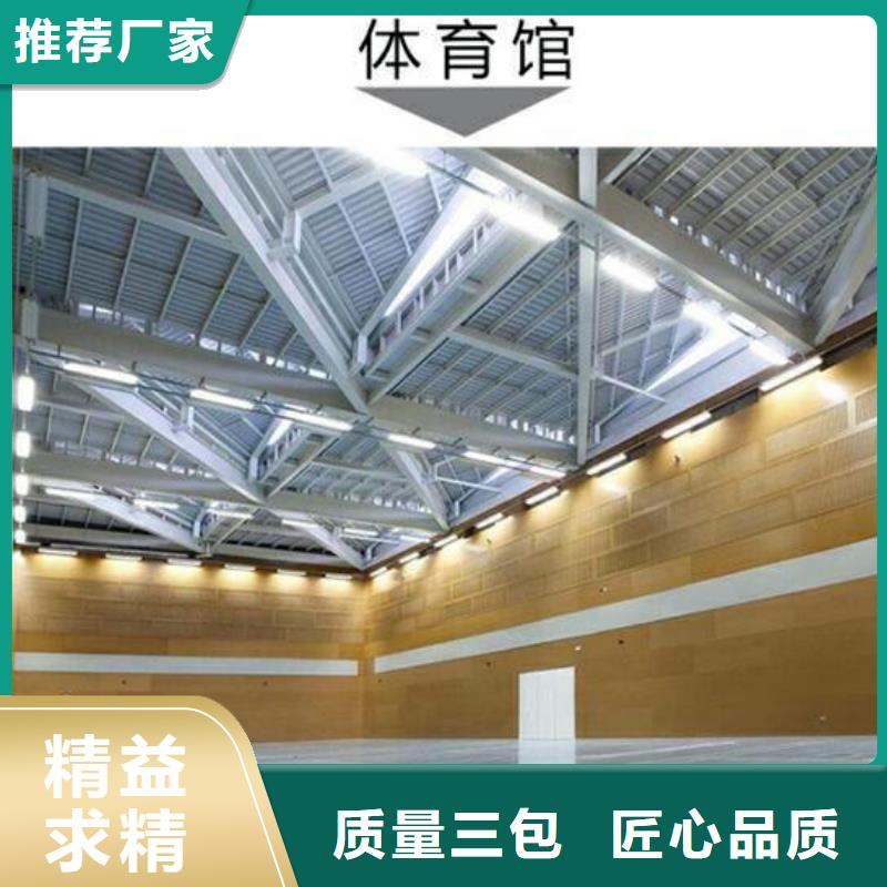 阳高县多功能体育馆声学改造公司--2024最近方案/价格精工细致打造