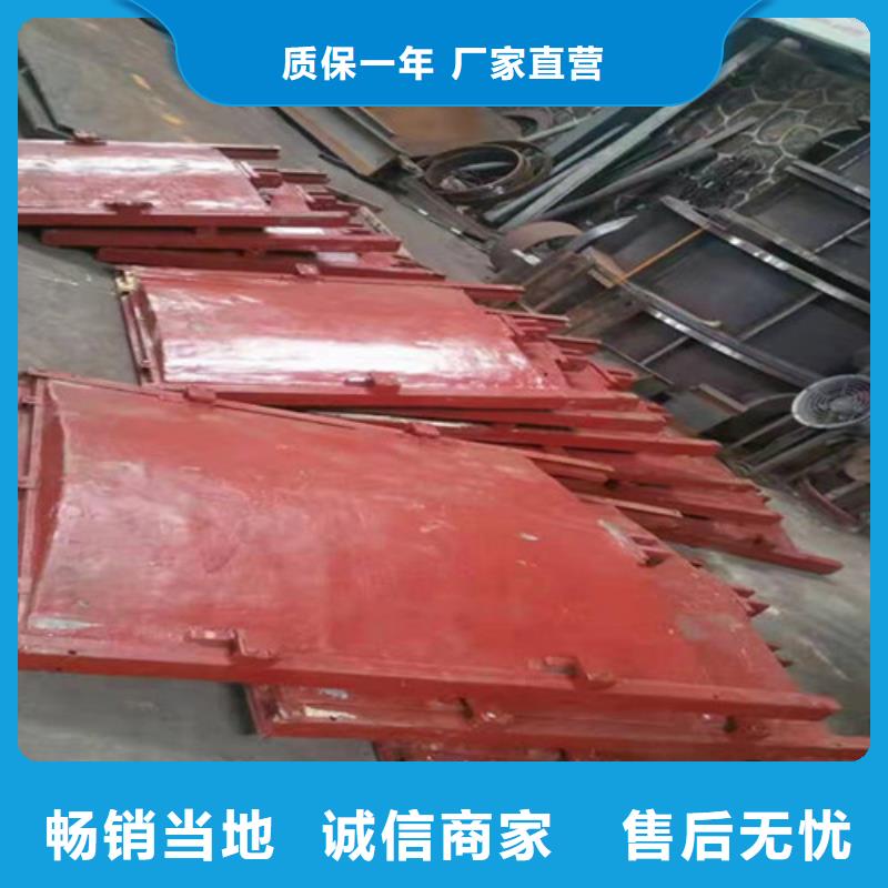 南京PGZ铸铁闸门价格实在的厂家