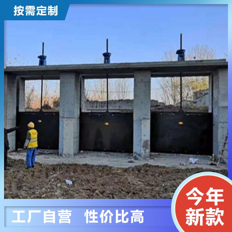 枣庄泵站铸铁闸门优质供货商