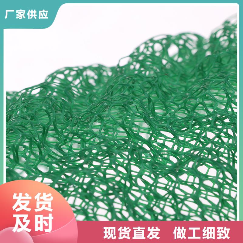 塑料三维植被网供应商 塑料三维植被网吉林厂家