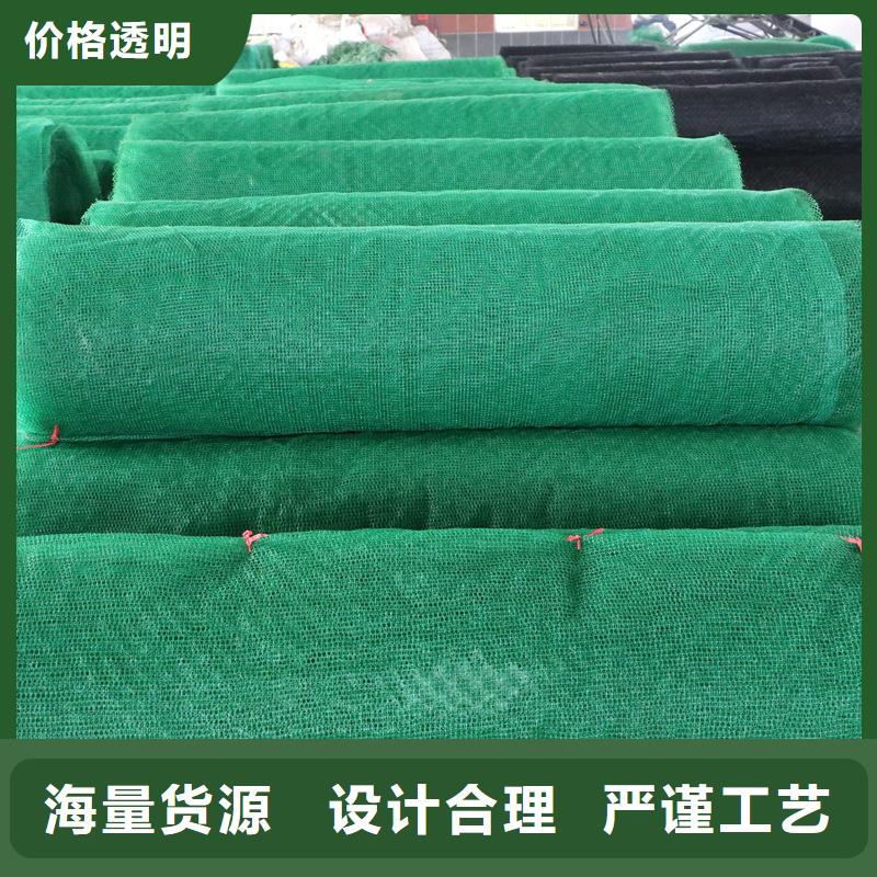 宁波宁海支持定制的塑料三维土工网垫经销商