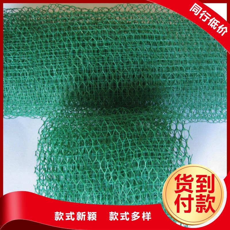 湘潭三维土工网垫、三维土工网垫厂家-质量保证