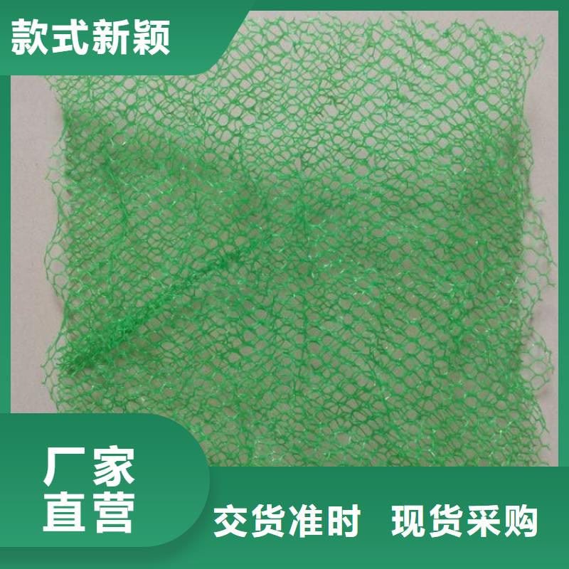 云浮塑料三维植被网厂家-规格全