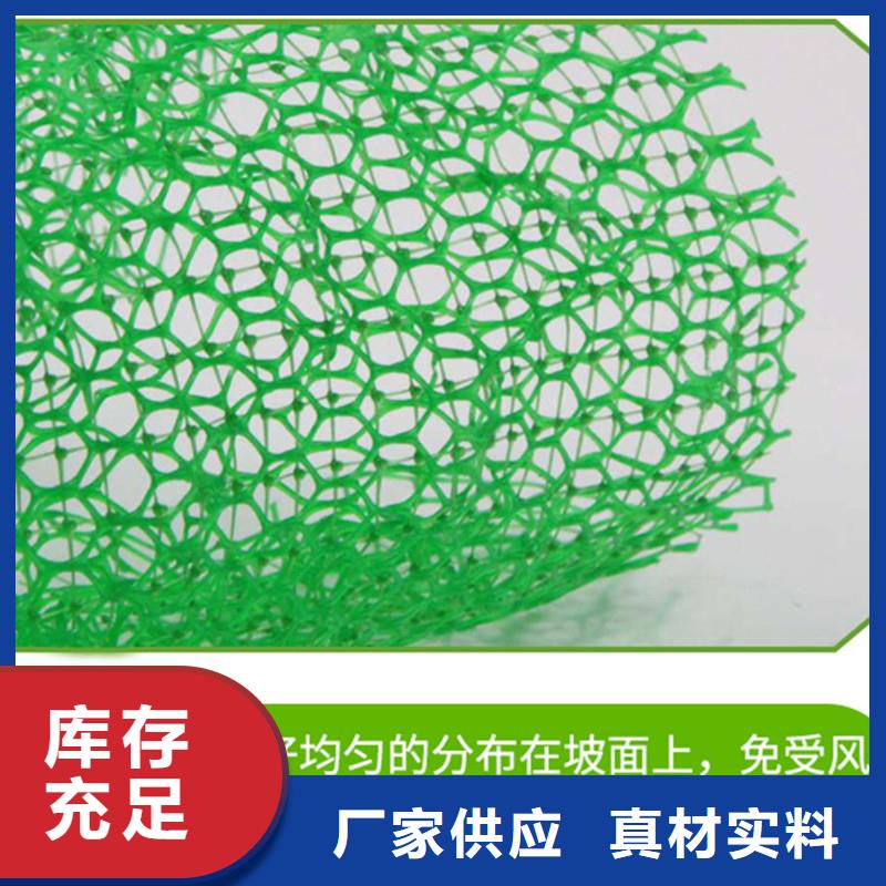 供应批发塑料三维土工网垫-价格优惠源头工厂量大优惠