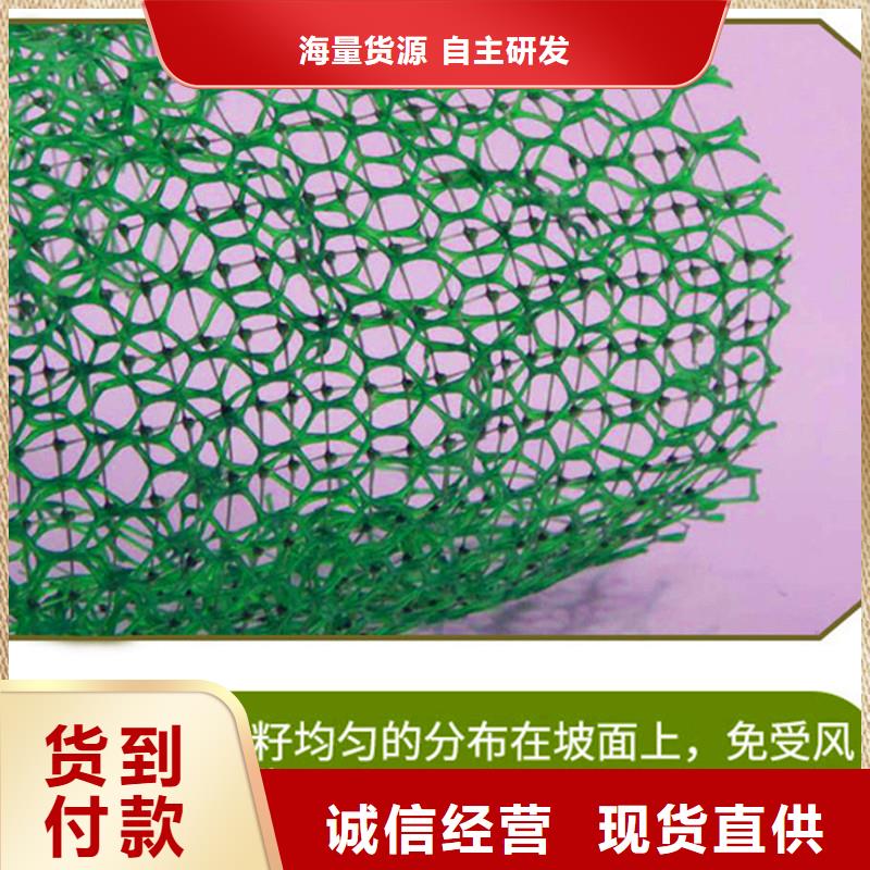 塑料三维土工网垫-好产品用质量说话同城货源