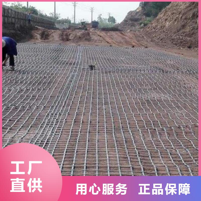 连云港支持定制的土工格栅施工图片厂家