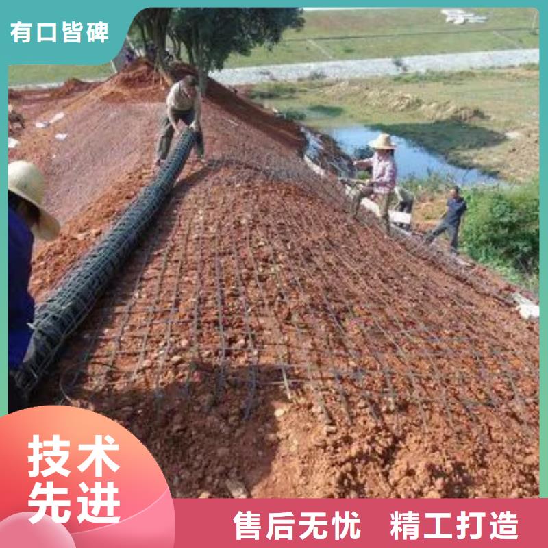 台州双向塑料土工格栅保质保量