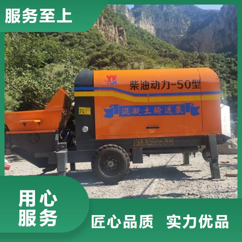小型混凝土输送泵厂家销售当地生产商