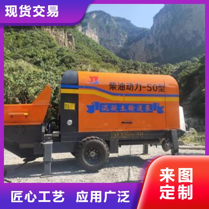 河南省南阳市小型结构泵全国配送