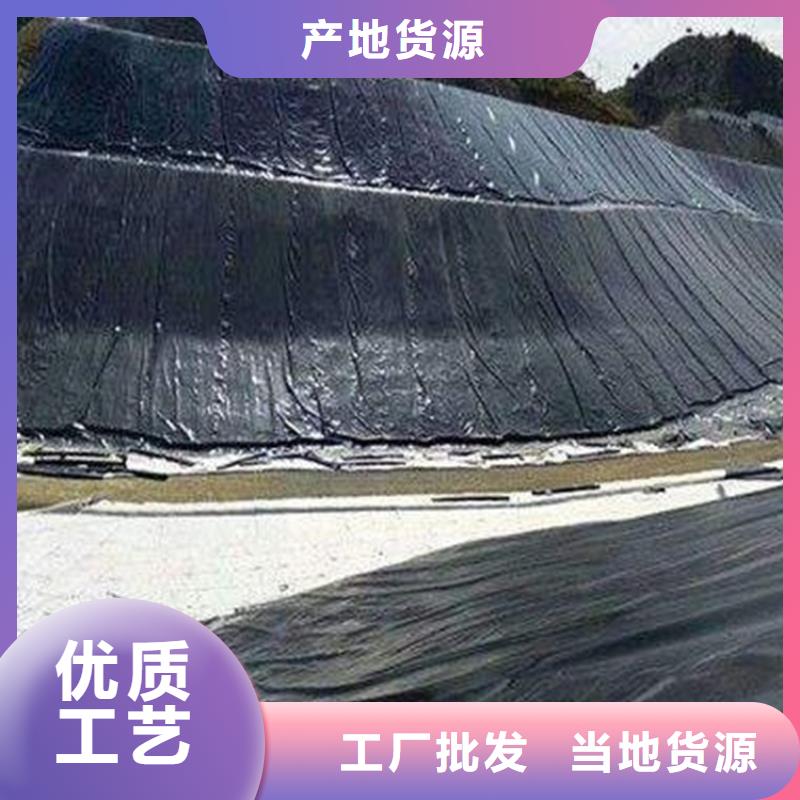 台州HDPE防渗膜-0.5 1.0厚防渗土工膜生产厂家/哪里有卖的