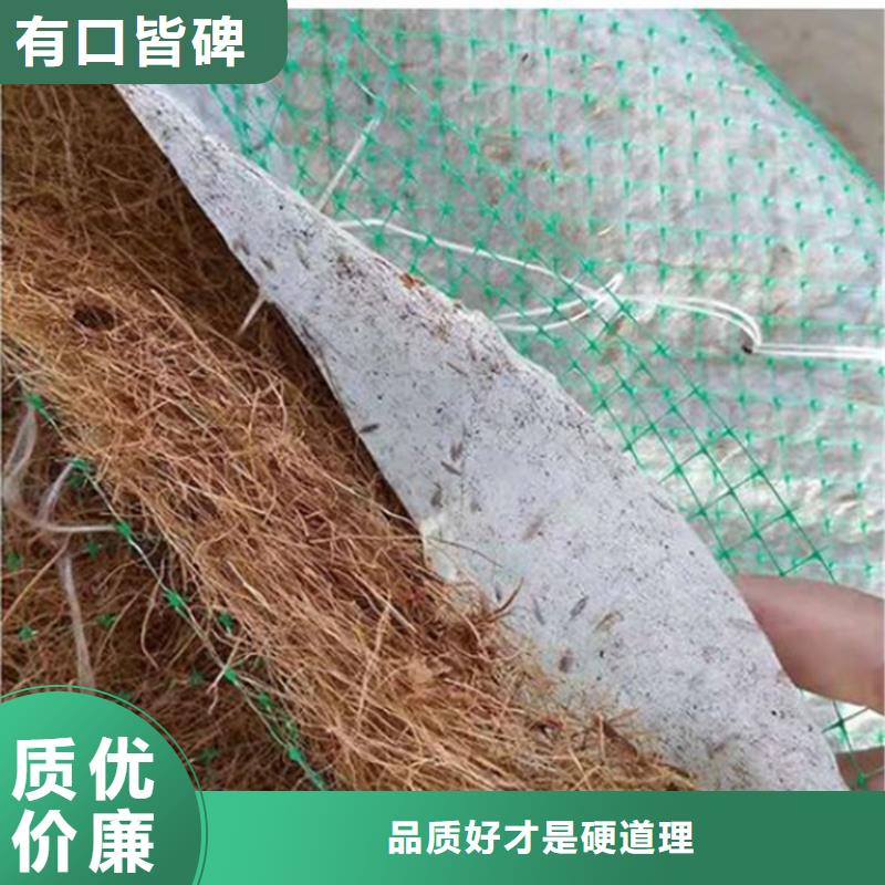 郴州植物纤维毯-PP加筋椰丝毯