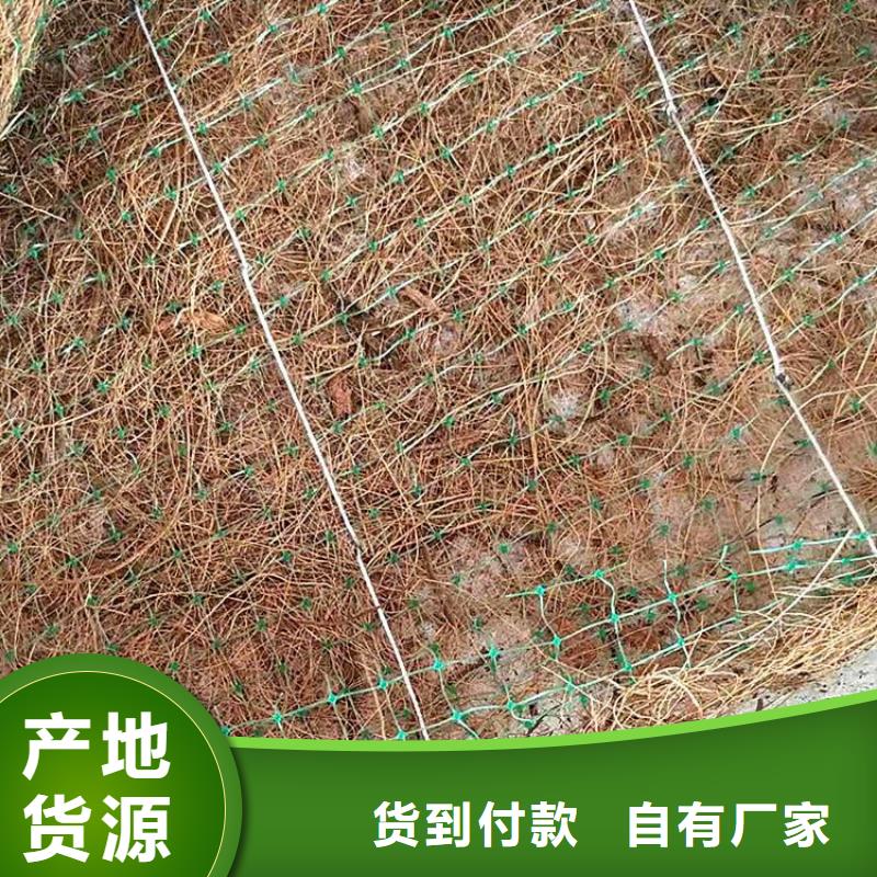 椰丝植物纤维毯-加筋生态毯-水保加筋椰丝毯实体厂家支持定制