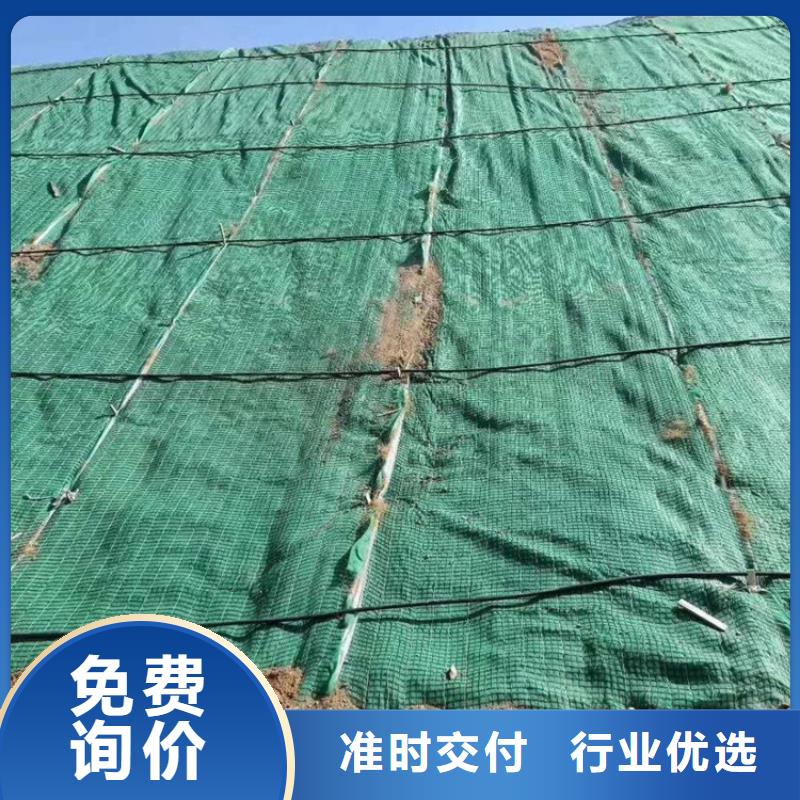 连云港椰纤植生毯 -生态植草毯