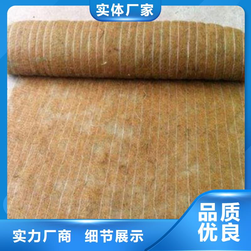 中山椰丝毯-椰纤毯-水保植生毯