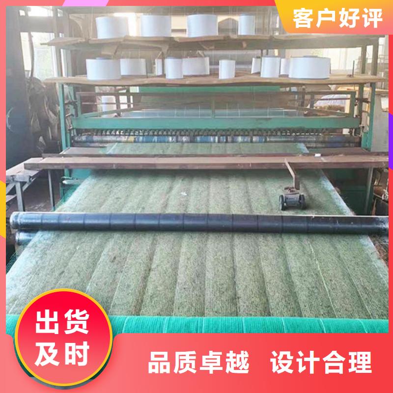 贵阳植生椰丝毯加筋抗冲生物毯规格颜色