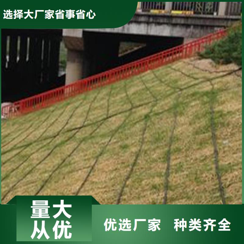 扬州植物生态防护毯加筋抗冲生物毯施工动态-已更新