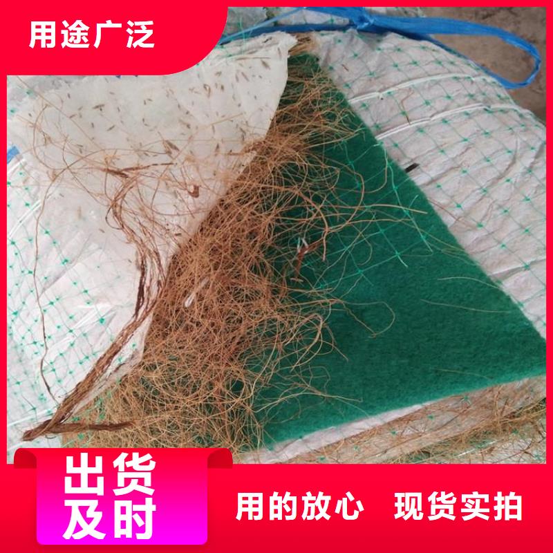 椰丝植生毯-抗冲加筋生态毯-边坡植物纤维毯高质量高信誉