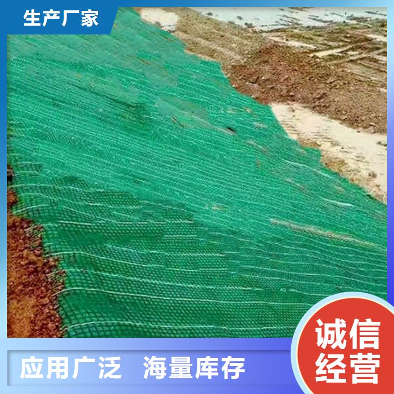 蚌埠椰丝植生毯-加筋草籽毯-环保植被垫