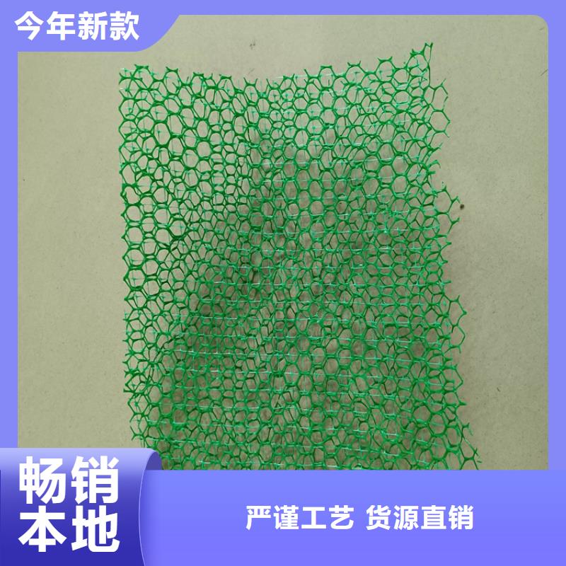 周口三维植被网-EM3三维加筋网垫