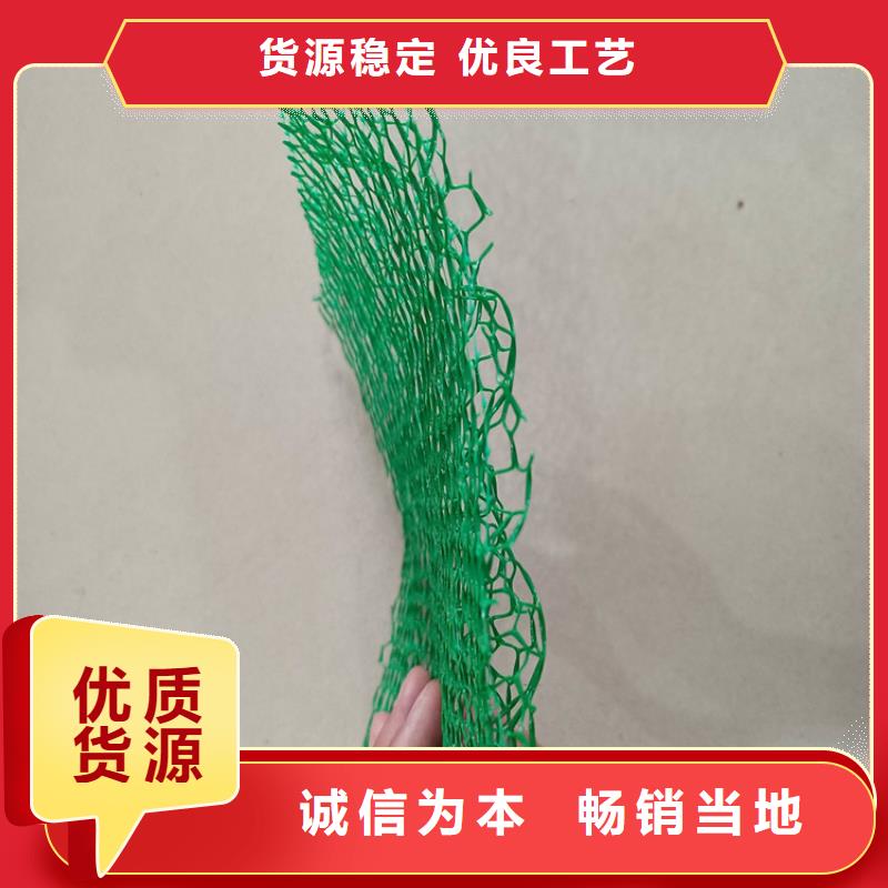 三维固土网垫EM3三维植被网专注生产N年