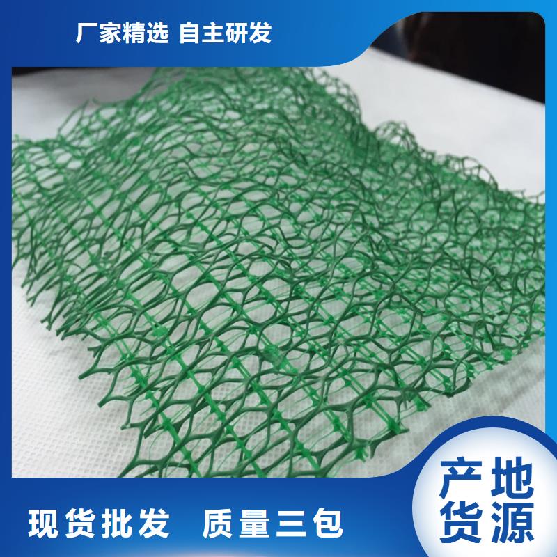 三维固土网垫EM3三维加筋网垫专注品质