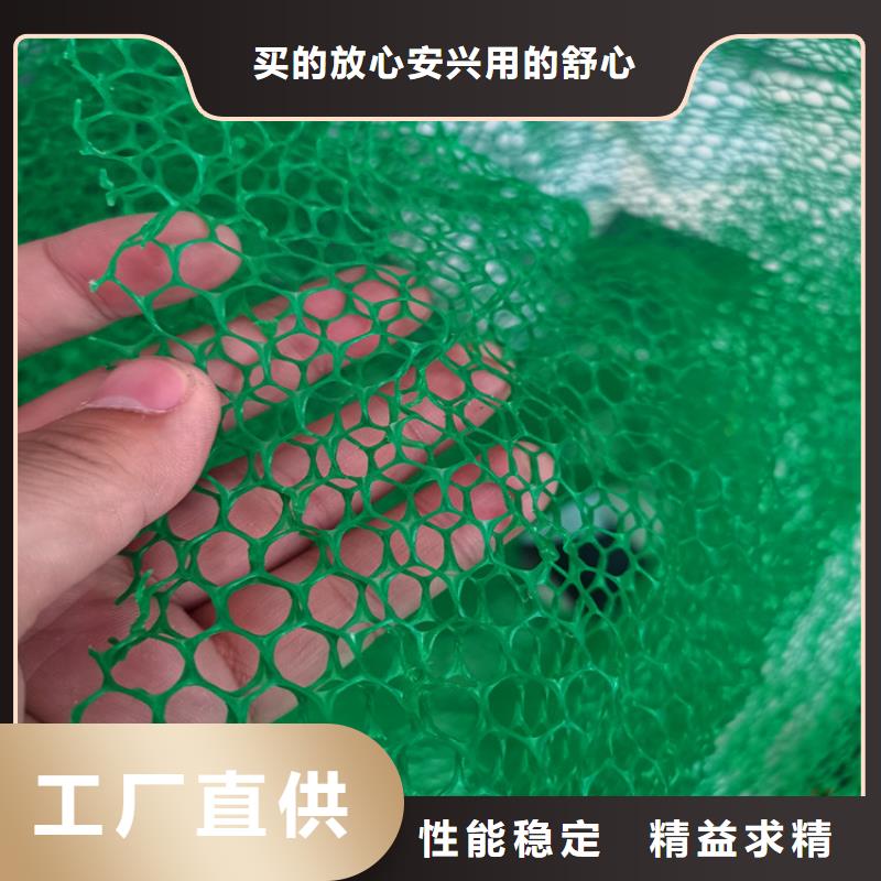 贺州三维植草网垫塑料EM5