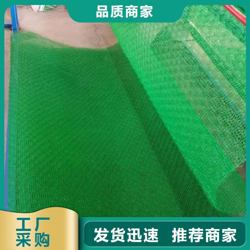 三维固土网垫价格优质检严格