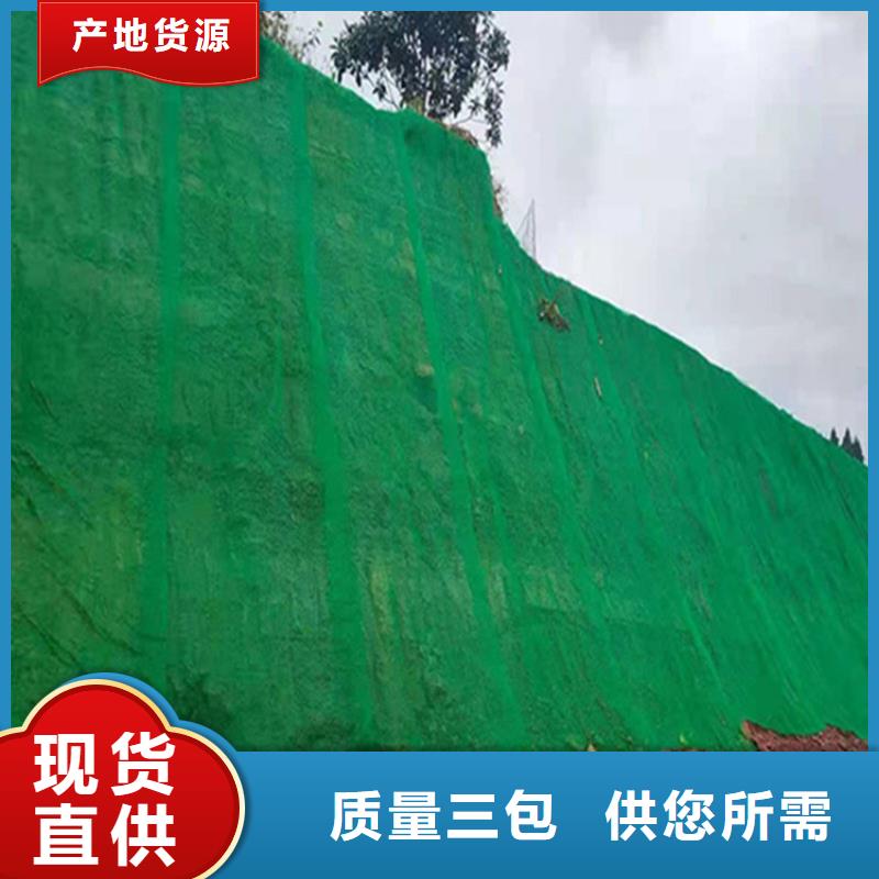 桂林三维固土网垫产品参数