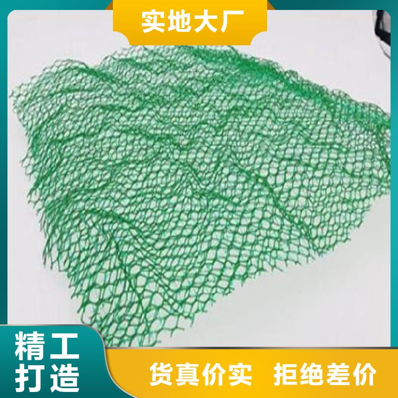 EM3三维土工网垫-三维固土网垫质量三包