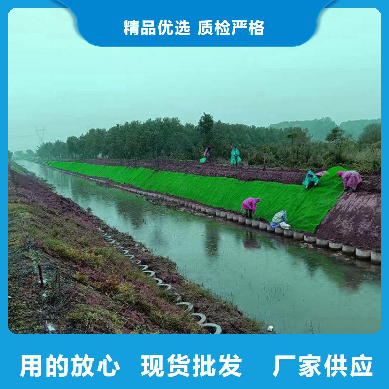 ​贵州三维护坡植草网垫公司动态-已更新