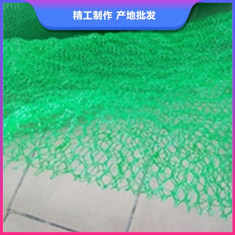 边坡塑料三维固土网垫现货供应
