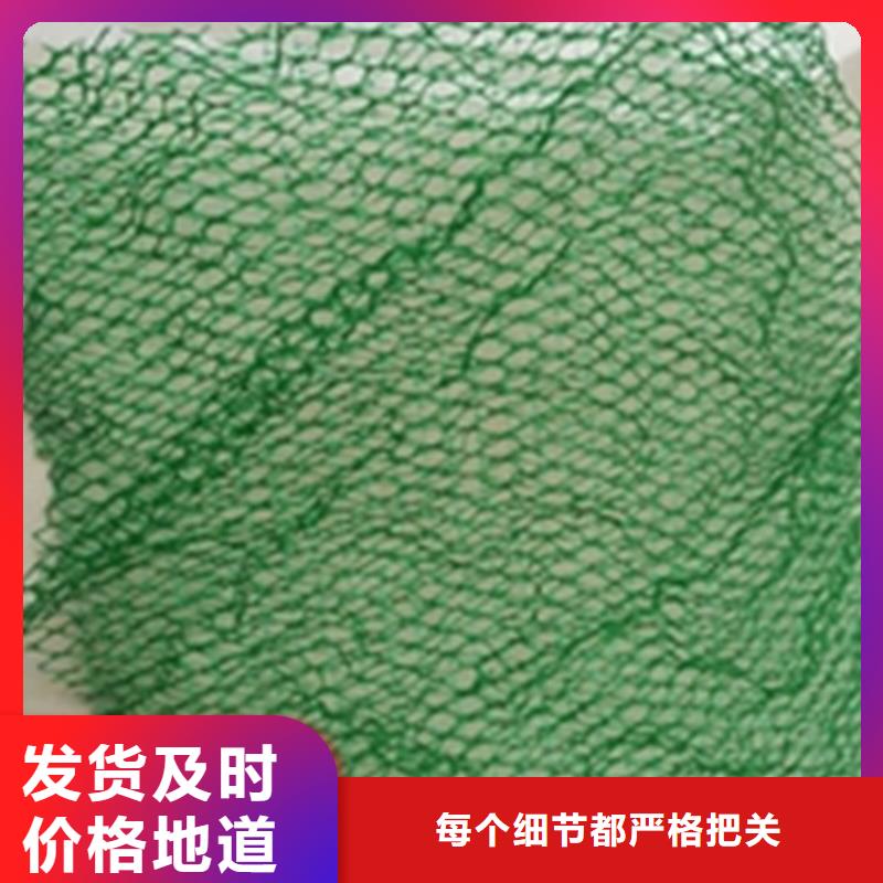 三维土工网垫-EM4三维护坡植草网垫高品质现货销售