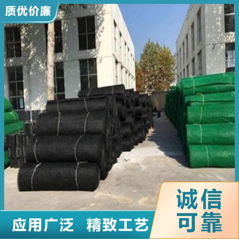 三维固土网垫厂家价格质量检测