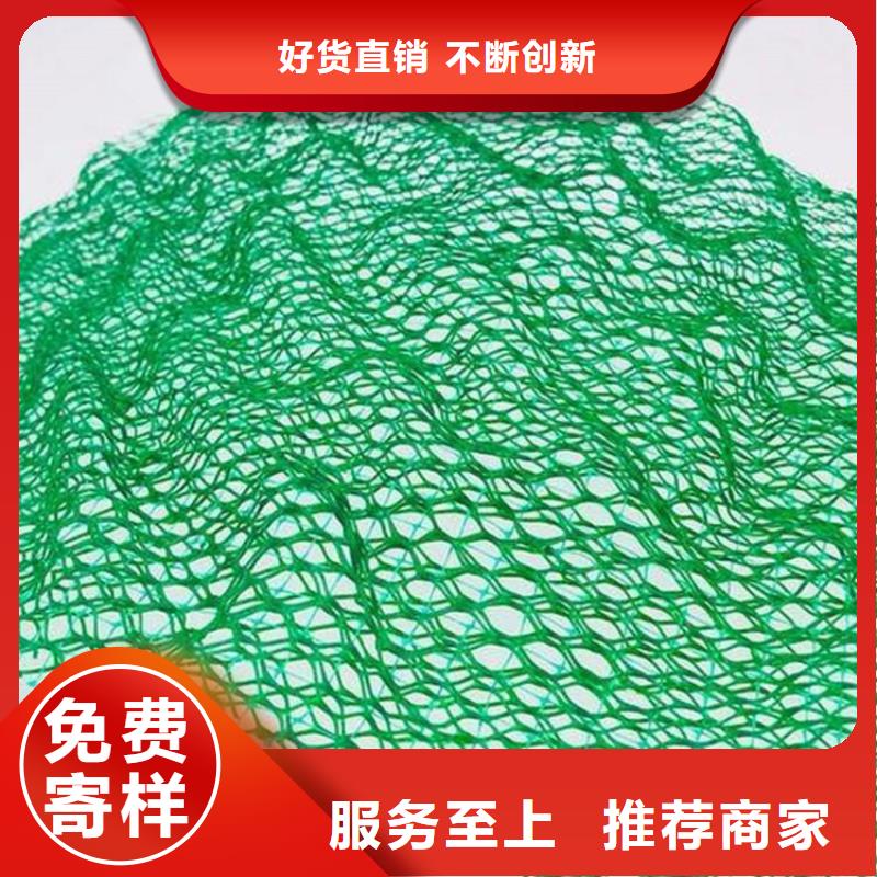 三维固土网垫EM3三维加筋网垫厂家货源稳定