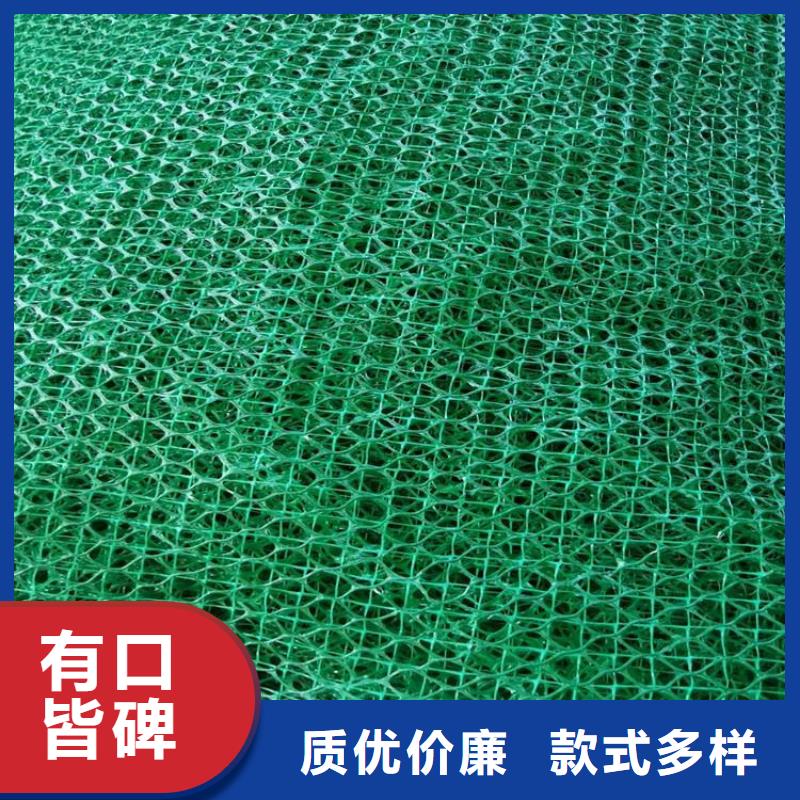 三维固土网垫EM3三维加筋网垫量大从优