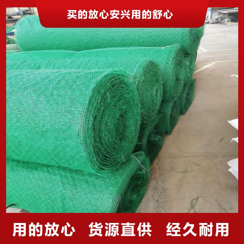 三维土工网垫-EM4三维护坡植草网垫厂家直销安全放心