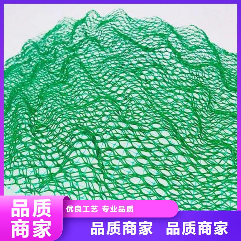西安三维植被网-EM3三维土工网垫