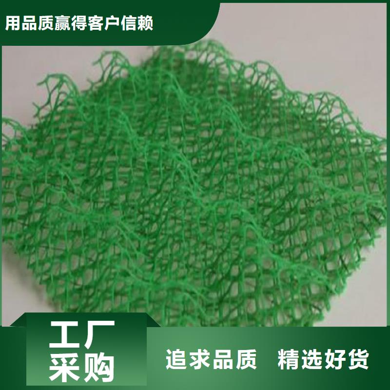 徐州三维植被网-EM3三维土工网垫