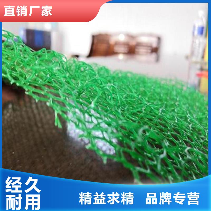 EM3三维土工网垫-护坡三维植被网同城生产厂家