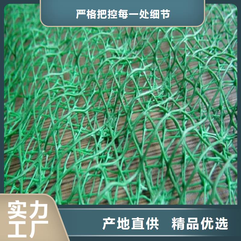 三维固土网垫EM5三维护坡植草网垫用途广泛