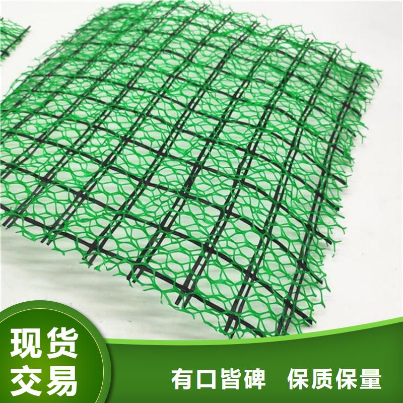 三维固土网垫EM3三维植被网厂家拥有先进的设备