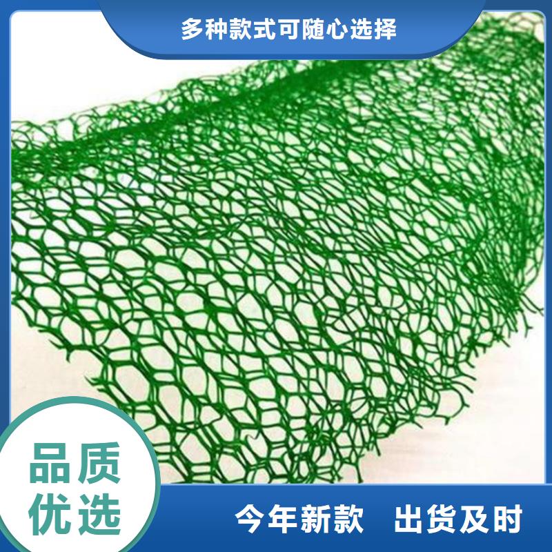 三维土工网垫-EM5三维加筋网垫可定制