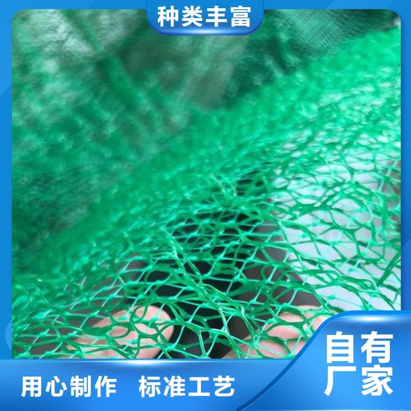 三维植被网-EM3三维加筋网垫当地生产商