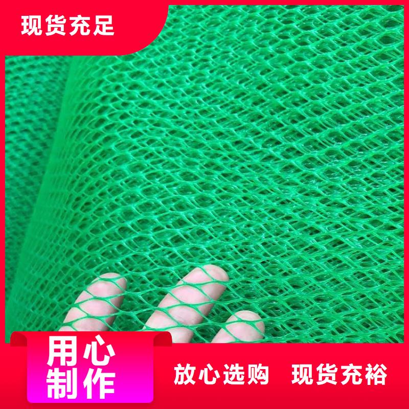 湖南EM3三维固土网垫-三维植被网