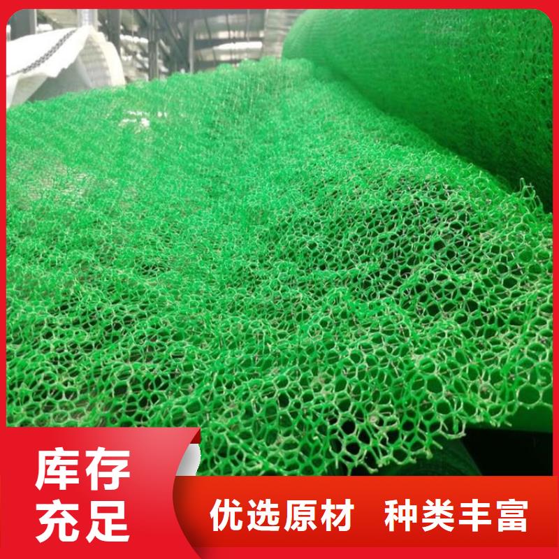 三维土工网垫护坡塑料当地生产商