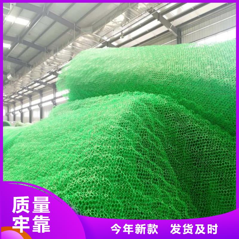 塑料边坡三维土工网垫本地生产厂家