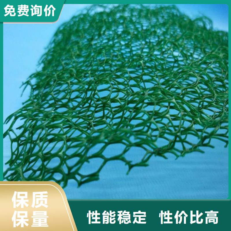 洛阳三维加筋网垫-三维植被网